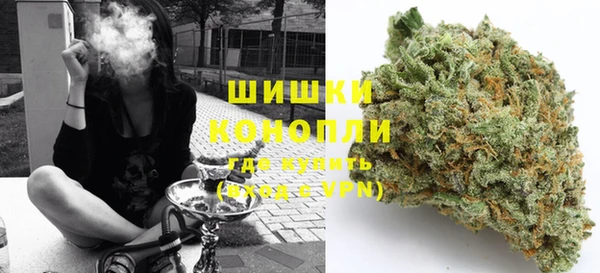 молекула духа Бронницы