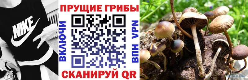Галлюциногенные грибы Cubensis  mega ссылки  Железногорск 